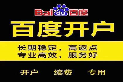 百度竞价，如何通过精准投放实现高收益？——案例剖析